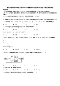 黑龙江省鹤岗市绥滨一中学2026届数学七年级第一学期期末考试模拟试题含解析