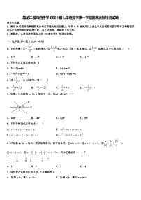黑龙江省鸡西中学2026届七年级数学第一学期期末达标检测试题含解析