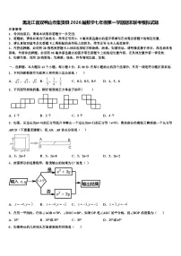 黑龙江省双鸭山市集贤县2026届数学七年级第一学期期末联考模拟试题含解析