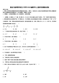 黑龙江省伊春市铁力三中学2026届数学七上期末检测模拟试题含解析