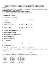 湖北省华中学师范大第一附属中学2026届七年级数学第一学期期末统考试题含解析