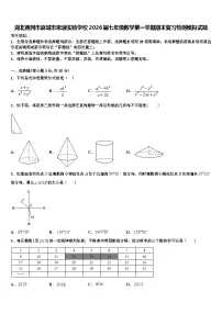 湖北黄冈市麻城市思源实验学校2026届七年级数学第一学期期末复习检测模拟试题含解析