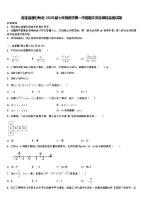 湖北省部分地区2026届七年级数学第一学期期末质量跟踪监视试题含解析