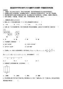湖北省华中学师大附中2026届数学七年级第一学期期末统考试题含解析