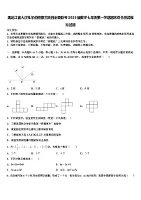 黑龙江省大庆杜尔伯特蒙古族自治县联考2026届数学七年级第一学期期末综合测试模拟试题含解析