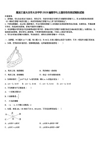 黑龙江省大庆市大庆中学2026届数学七上期末综合测试模拟试题含解析