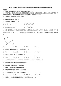 黑龙江省大庆市大庆中学2026届七年级数学第一学期期末检测试题含解析