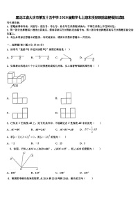 黑龙江省大庆市第五十五中学2026届数学七上期末质量跟踪监视模拟试题含解析