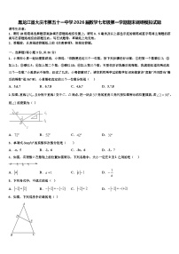 黑龙江省大庆市第五十一中学2026届数学七年级第一学期期末调研模拟试题含解析