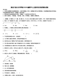 黑龙江省大庆市肇源2026届数学七上期末综合测试模拟试题含解析