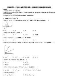 河南省郑州一中2026届数学七年级第一学期期末质量跟踪监视模拟试题含解析