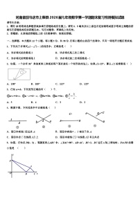 河南省驻马店市上蔡县2026届七年级数学第一学期期末复习检测模拟试题含解析