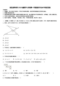 湖北省鄂州市2026届数学七年级第一学期期末学业水平测试试题含解析