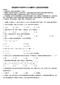 湖北省咸宁市天城中学2026届数学七上期末质量检测试题含解析