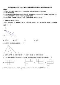 湖北省孝感市八校2026届七年级数学第一学期期末学业质量监测试题含解析