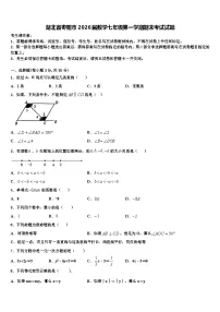 湖北省枣阳市2026届数学七年级第一学期期末考试试题含解析