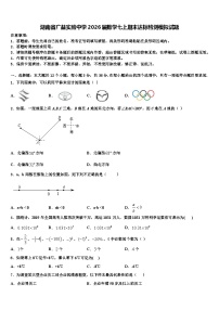 湖南省广益实验中学2026届数学七上期末达标检测模拟试题含解析