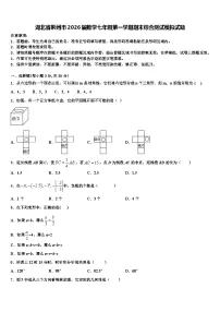 湖北省荆州市2026届数学七年级第一学期期末综合测试模拟试题含解析