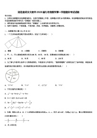 湖北省武汉大附中2026届七年级数学第一学期期末考试试题含解析