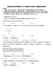 湖北省武汉实验外国语学校2026届数学七年级第一学期期末统考试题含解析