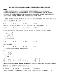 湖北省武汉市华师一附中2026届七年级数学第一学期期末经典试题含解析