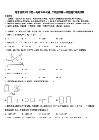湖北省武汉市华师一附中2026届七年级数学第一学期期末经典试题含解析