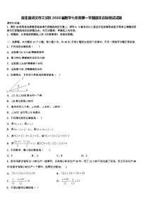 湖北省武汉市江汉区2026届数学七年级第一学期期末达标测试试题含解析
