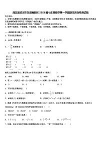 湖北省武汉市东湖高新区2026届七年级数学第一学期期末达标检测试题含解析