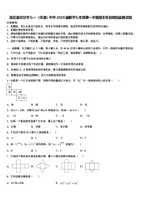 湖北省武汉市七一（华源）中学2026届数学七年级第一学期期末质量跟踪监视试题含解析