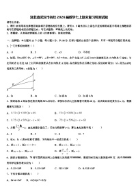 湖北省武汉市名校2026届数学七上期末复习检测试题含解析