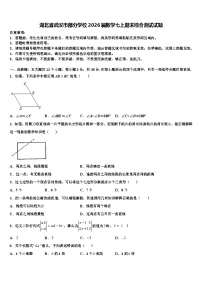 湖北省武汉市部分学校2026届数学七上期末综合测试试题含解析