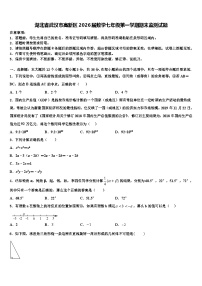 湖北省武汉市高新区2026届数学七年级第一学期期末监测试题含解析