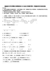 湖南省长沙市岳麓区长郡梅溪湖2026届七年级数学第一学期期末综合测试试题含解析