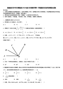 湖南省长沙市长郡集团2026届七年级数学第一学期期末质量检测模拟试题含解析