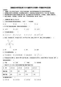 湖南省永州市蓝山县2026届数学七年级第一学期期末考试试题含解析