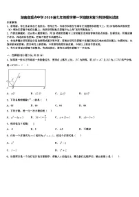 湖南省重点中学2026届七年级数学第一学期期末复习检测模拟试题含解析