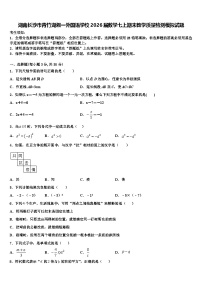 湖南长沙市青竹湖湘一外国语学校2026届数学七上期末教学质量检测模拟试题含解析