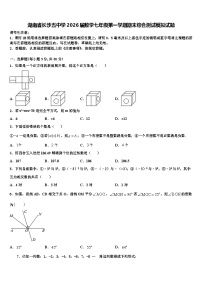 湖南省长沙五中学2026届数学七年级第一学期期末综合测试模拟试题含解析
