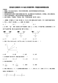 吉林省长白县联考2026届七年级数学第一学期期末调研模拟试题含解析