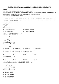 吉林省农安县新农中学2026届数学七年级第一学期期末经典模拟试题含解析