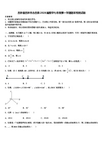 吉林省吉林市永吉县2026届数学七年级第一学期期末检测试题含解析