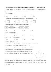 2025-2026学年江苏省连云港市灌南县七年级（上）期中数学试卷-自定义类型