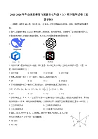 2025-2026学年山东省青岛市莱西市七年级（上）期中数学试卷（五四学制）（有答案和解析）