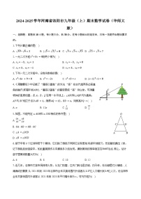 河南省洛阳市2024-2025学年九年级上学期期末数学试卷（华东师大版）+答案