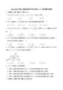 2024-2025学年上海市市西中学九年级（上）段考数学试卷（含解析）