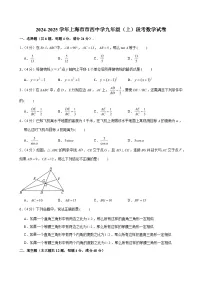 2024-2025学年上海市市西中学九年级（上）段考数学试卷（含解析）