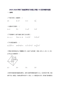 2025~2026学年广东省深圳市八年级上册（10月）月考数学试题-含解析