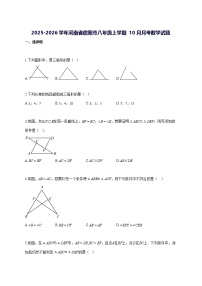 2025~2026学年河南省信阳市八年级上册（10月）月考数学试题-含解析