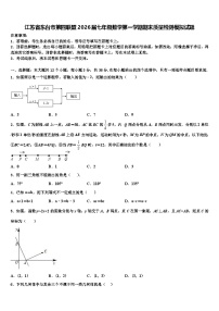 江苏省东台市第四联盟2026届七年级数学第一学期期末质量检测模拟试题含解析