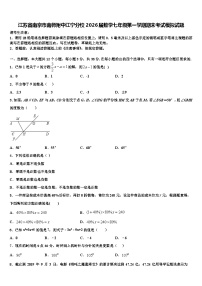 江苏省南京市南师附中江宁分校2026届数学七年级第一学期期末考试模拟试题含解析